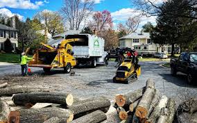 Lawn Grading and Leveling in Rockville, IN